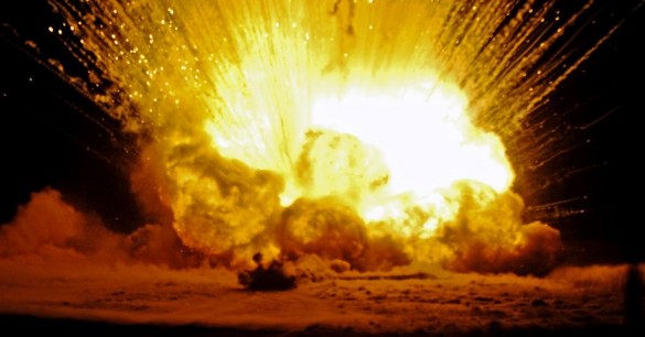 The Very Weird Story of Exploding Animals