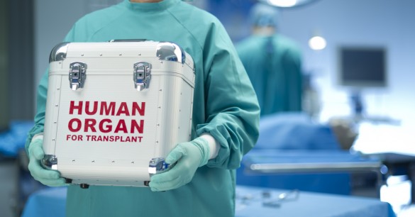 Merging Two Souls: Cellular Memory and Organ Transplants