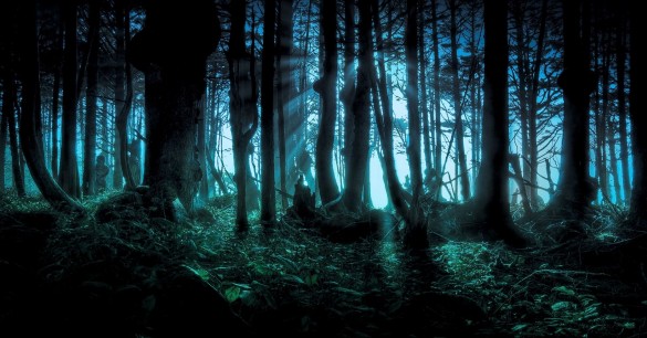The Clapham Wood Mystery: UFOs, Satanism and Strange Deaths