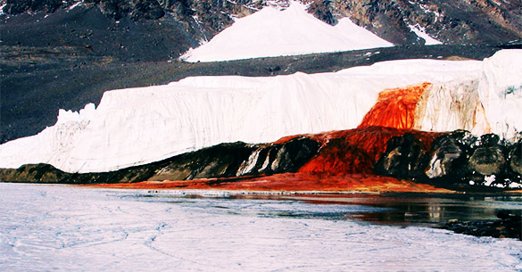 The Blood Falls: A Horror Movie and an Astrobiological Wet-Dream