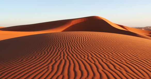 Eaten Alive! …By Sand?