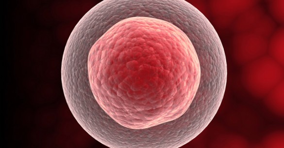 Tibetan Mummies and Immortal Cells: A Lost Legacy