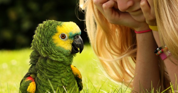 Humboldt’s Parrot: The Lost Language of the Atures