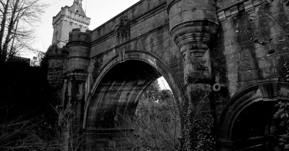 The Suicide Forest and Overtoun Bridge: What Makes Them So Deadly?