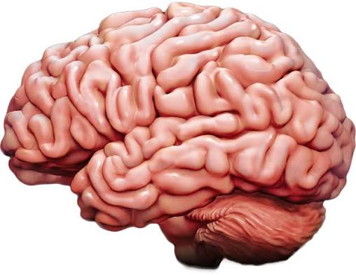 The Strange Problem of Wanting Without a Mind