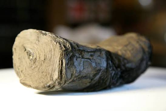 Reading The Herculaneum Scrolls of Antiquity